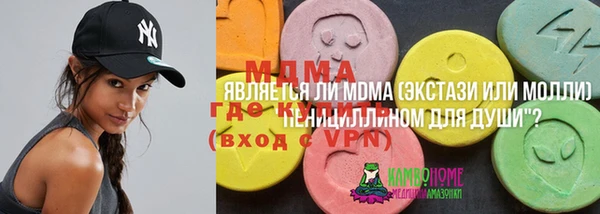 мдпв Абаза