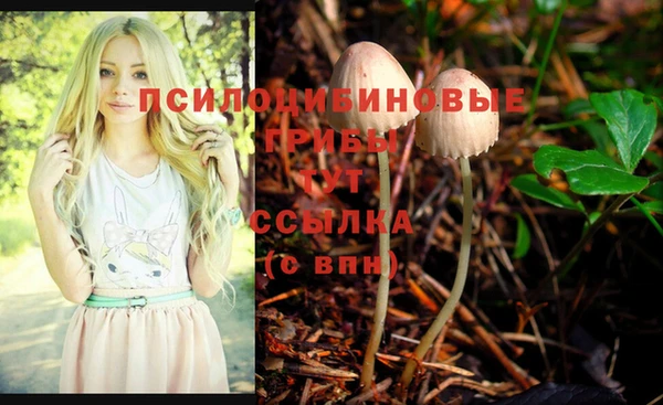 MDMA Алексин