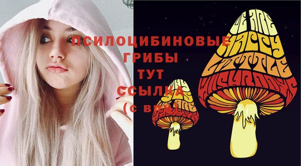 молекула духа Абдулино