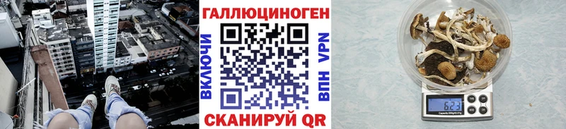 Псилоцибиновые грибы прущие грибы  купить закладку  Приозерск 